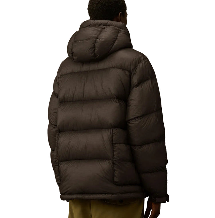D.D. Shell Hooded Lens Down Jacket