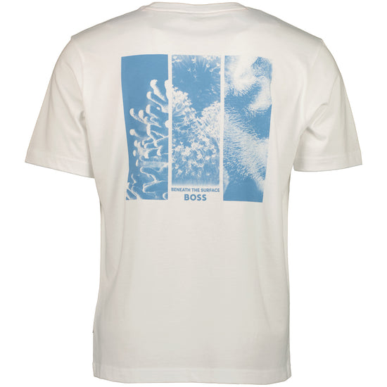 Cotton-Jersey Graphic Print T-Shirt - Casual Basement